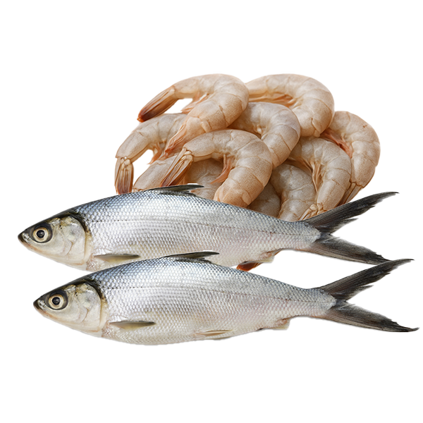 Seafood Sale
