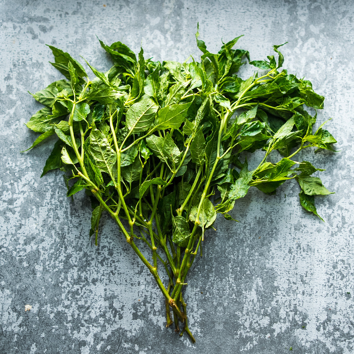 SukiGrocer Sili Leaves 90-100g