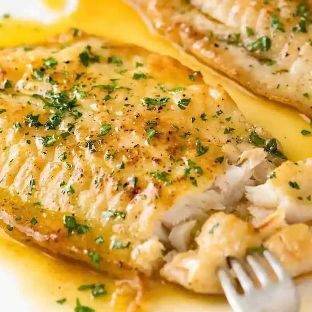 Special Cream Dory