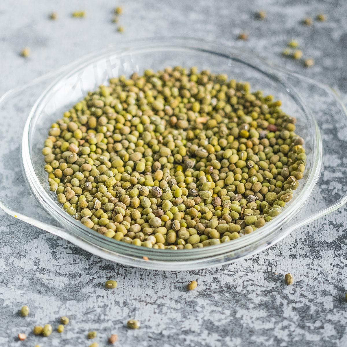 SukiGrocer Mongo Beans 90-100g / 230-250 g