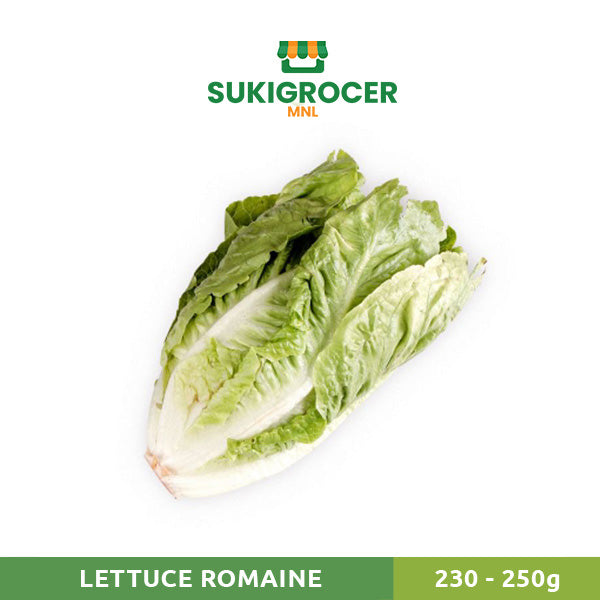 SukiGrocer Lettuce Romaine 230-250g